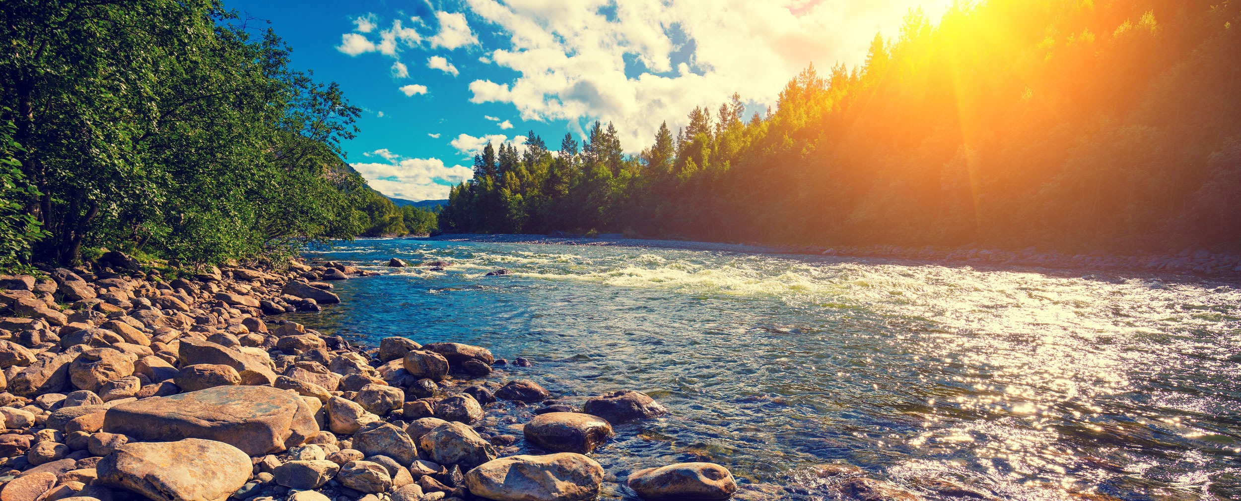 flowing river with sunshine and trees